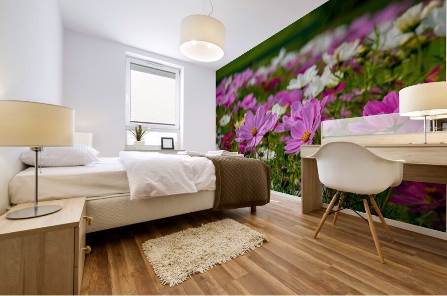 Pink Coreopsis at the Botanical Gardens Mural print