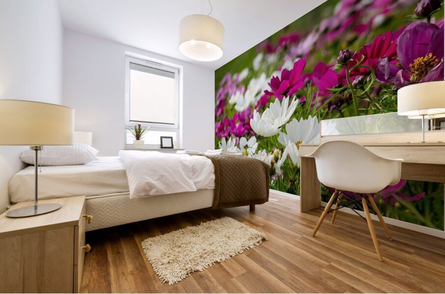 White Coreopsis at the Botanical Gardens Mural print