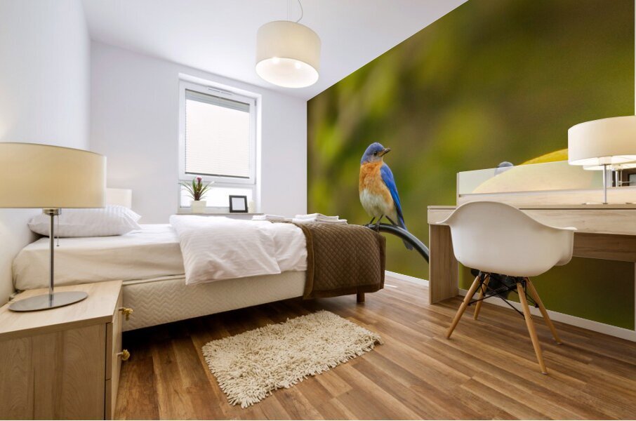 Perched Bluebird Mural print