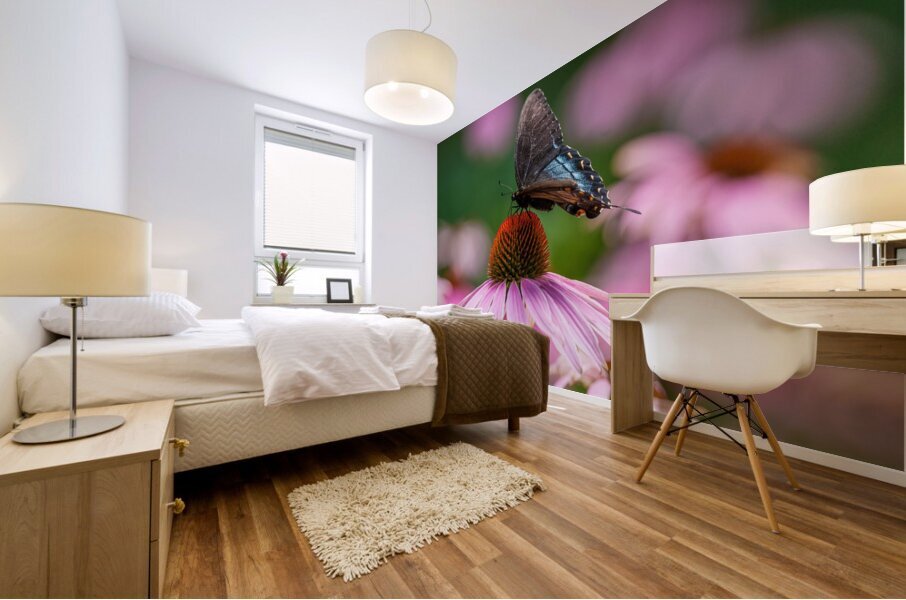 Red-Spotted Purple Admiral Butterfly Mural print