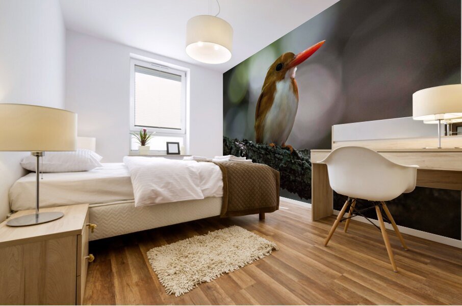 Madagascan Pygmy Kingfisher Mural print