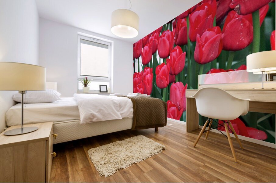 Red Tulips Mural print