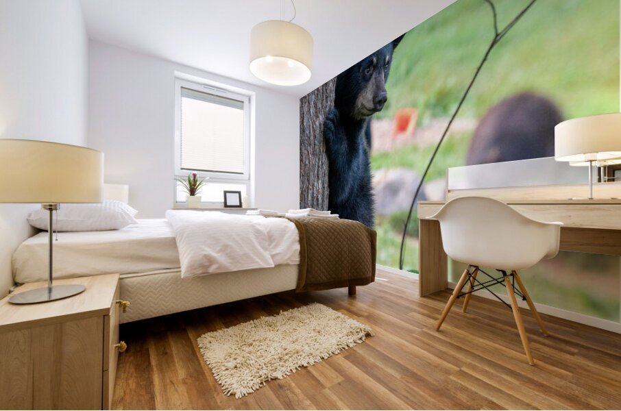 Black Bear Cub Mural print