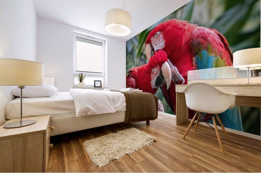 Macaws Mural print