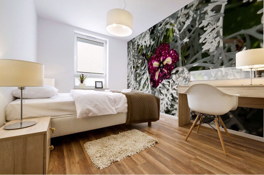 Starry Sky Burgundy Petunia Flower Mural print