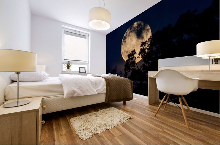 Moon Lit Night Mural print