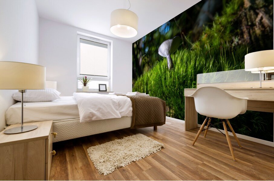 Gomphidius Mushroom Mural print