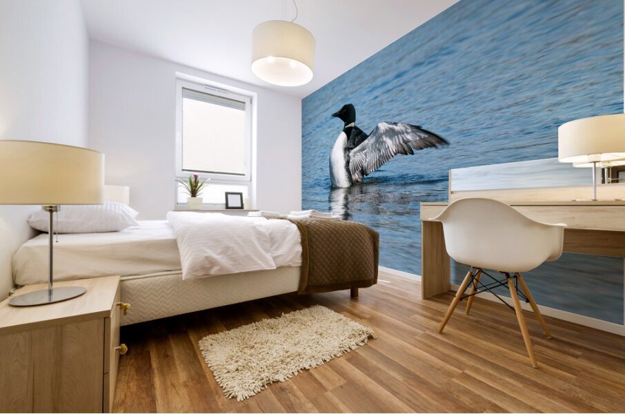 Common Loon Mural print