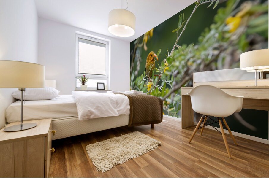 Hawaiian Honeycreeper Mural print