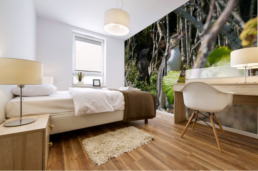 Yellow-eyed Penguin Mural print