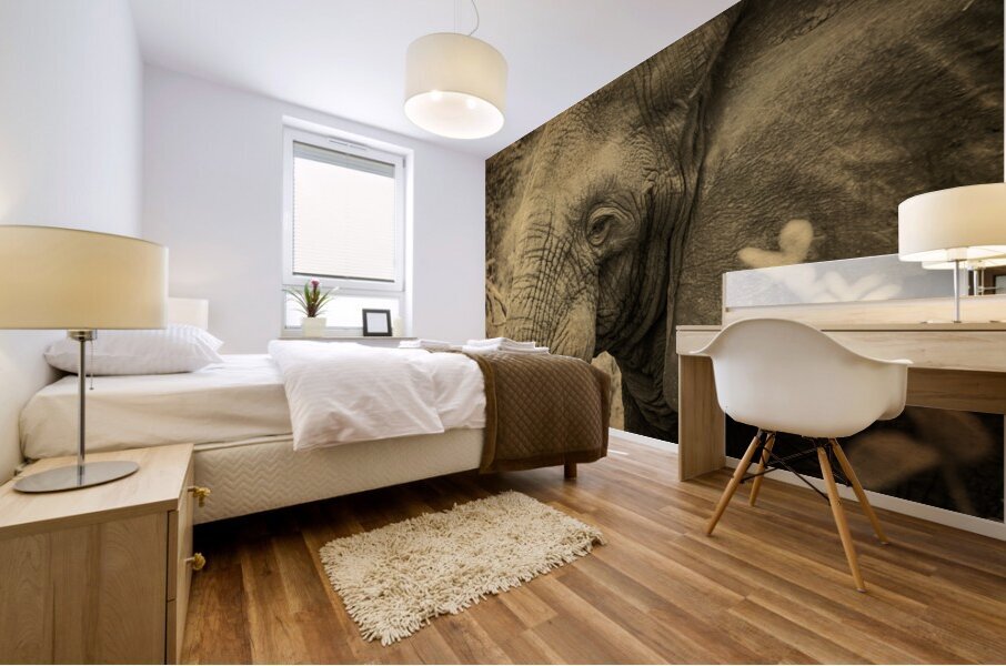 African Bush Elephant Mural print