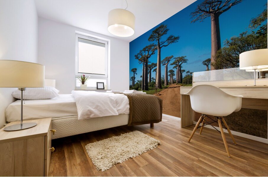 Avenue of the Baobabs Mural print