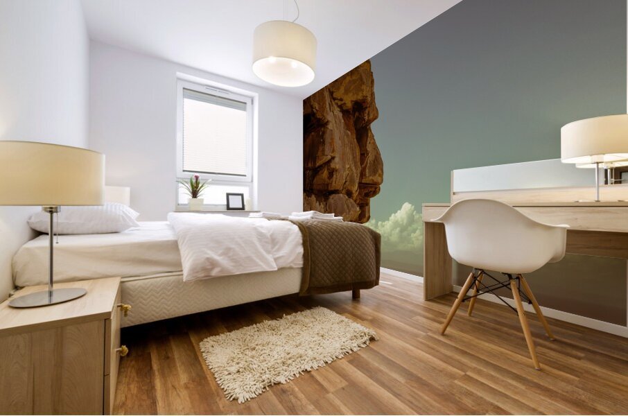 A Face In The Rock Mural print