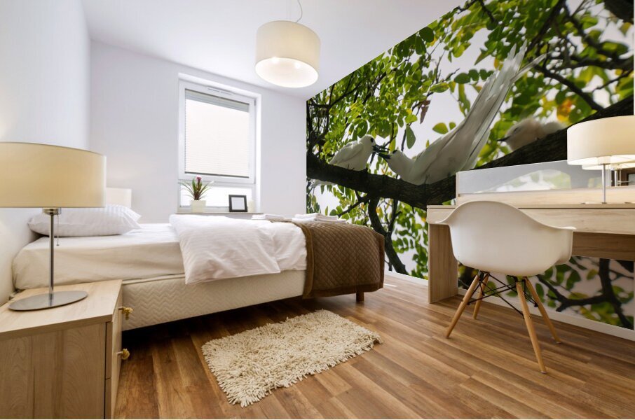 White Terns Mural print