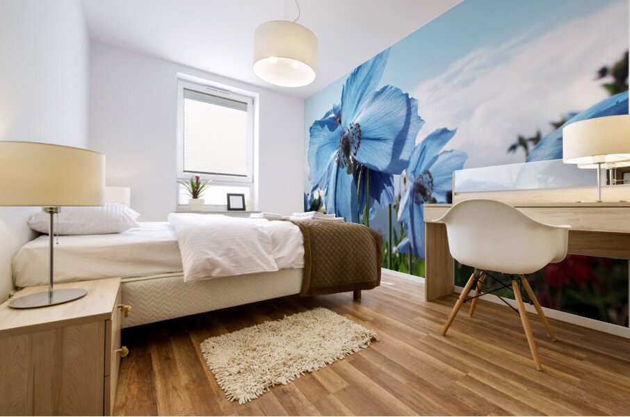 Himalayan Blue Poppy Flowers Mural print