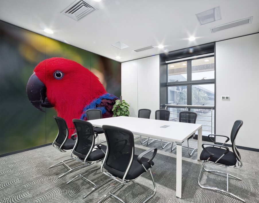 Eclectus Parrot Wall Printing