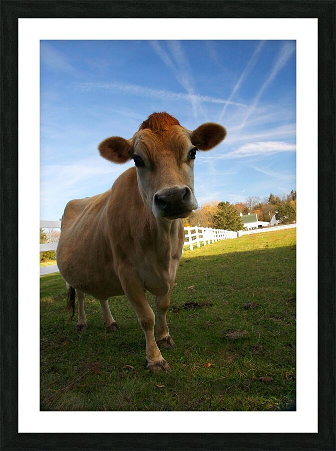 Lorina Picture Frame print