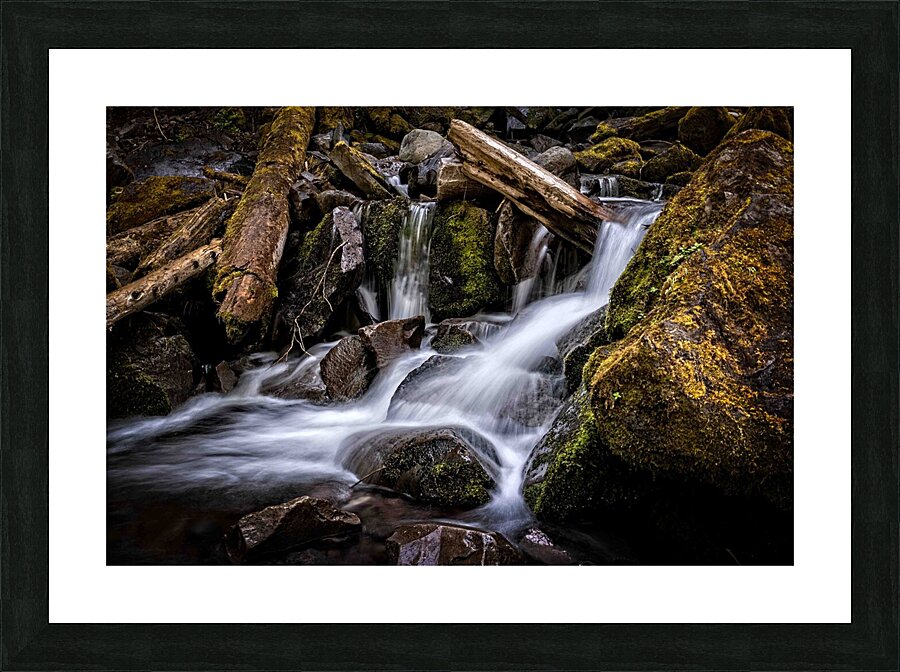 Proxy Creek Oregon Picture Frame print
