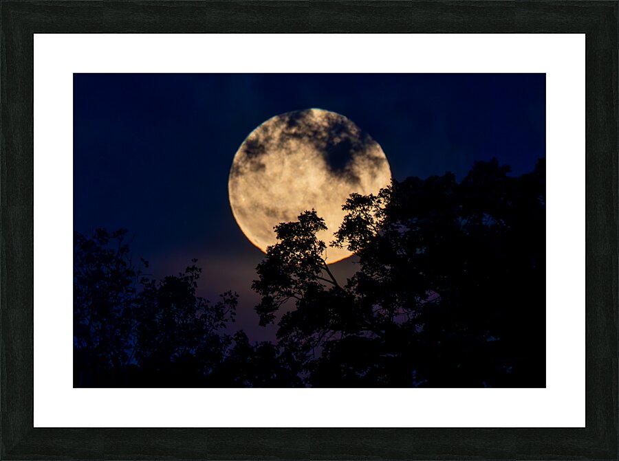 Moon Lit Night Picture Frame print
