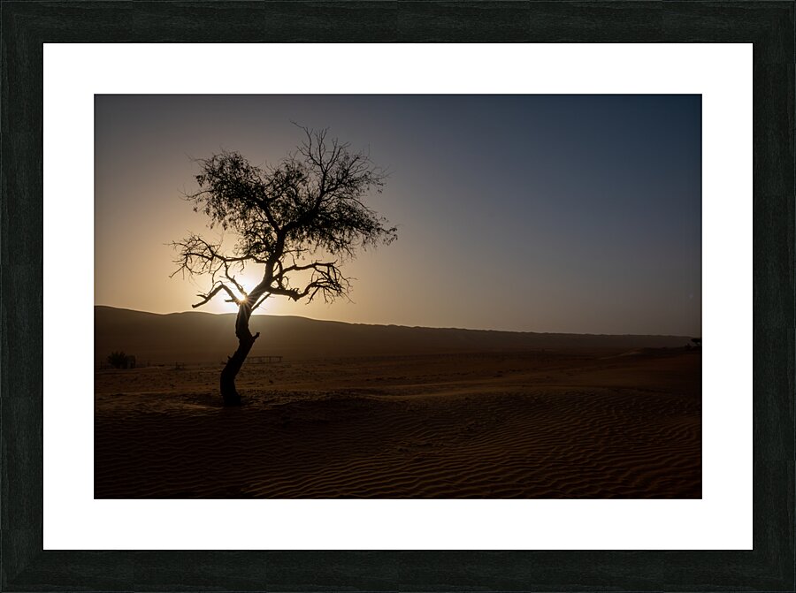 A Lone Tree in the Desert Picture Frame print