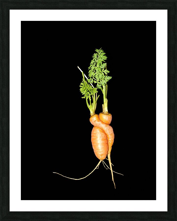 Carrot Love  Impression encadrée