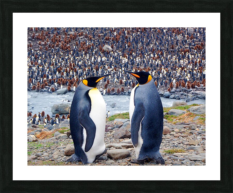 Conversation  Framed Print Print