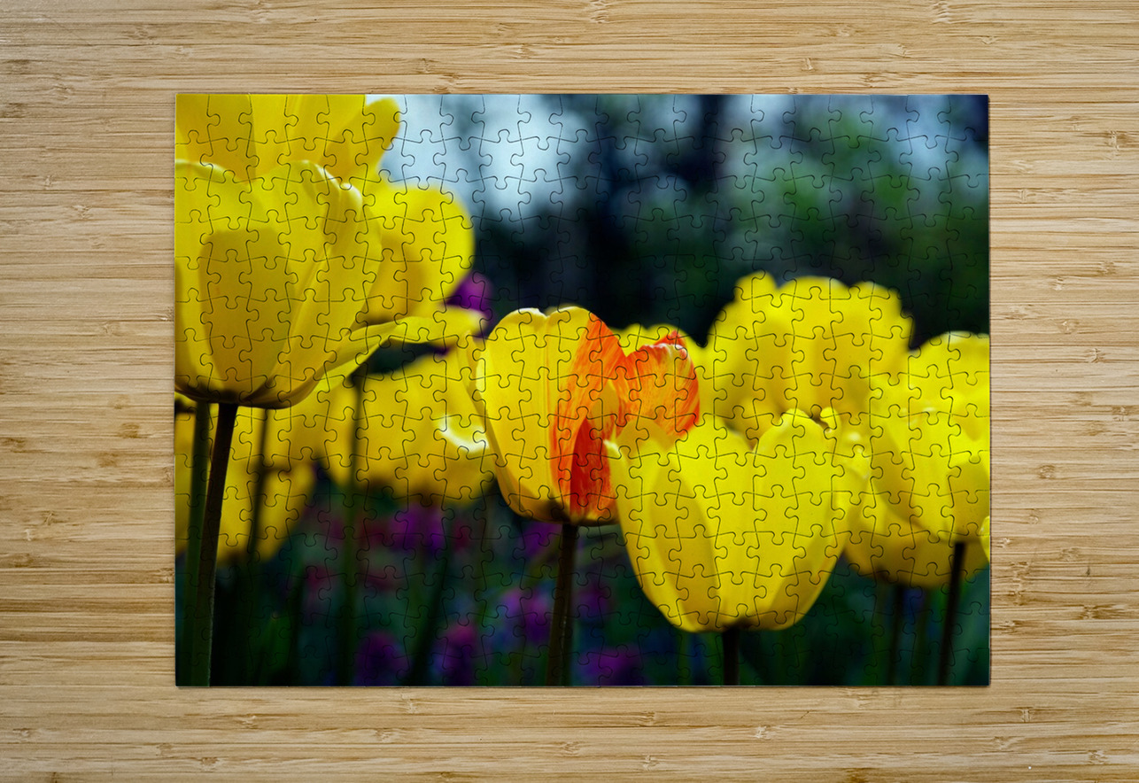 Being Different Is Special Adel B Korkor Puzzle printing