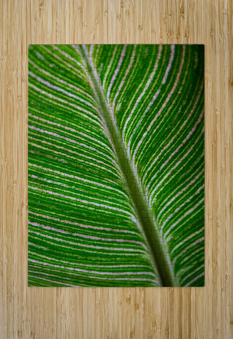 Green Calathea Leave Adel B Korkor Puzzle printing