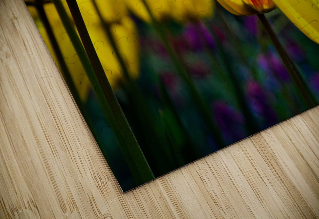 Being Different Is Special Adel B Korkor Puzzle