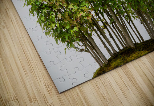 Yose-Ue Forest Garden Adel B Korkor puzzle