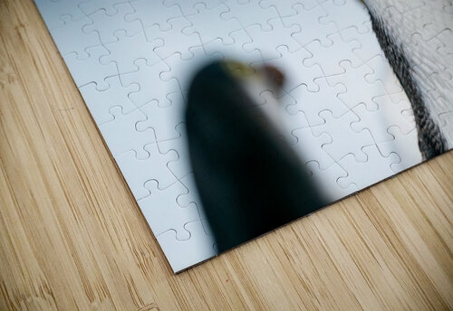 Royal Penguin Adel B Korkor puzzle