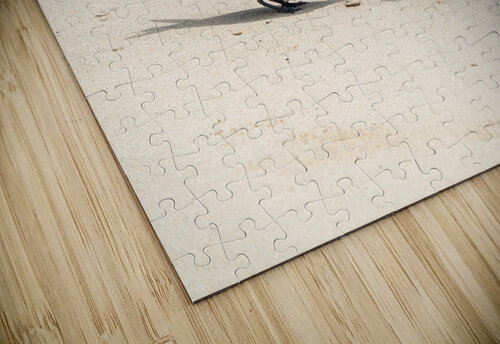 Sooty Tern Couple Adel B Korkor puzzle