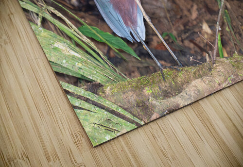 Agami Heron Adel B Korkor puzzle
