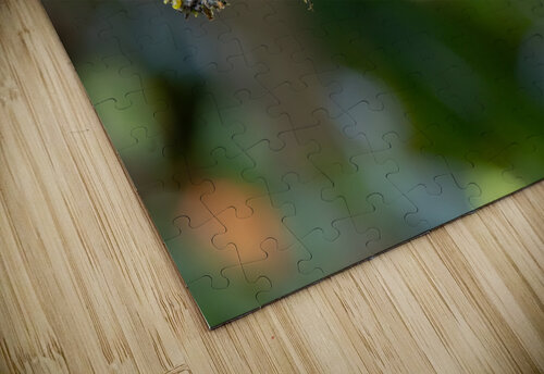Green Honeycreeper Adel B Korkor puzzle