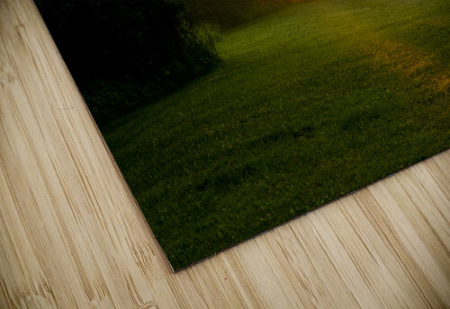 Sunbeam Landscape Adel B Korkor puzzle