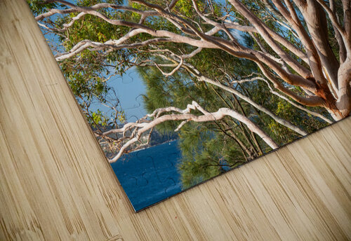 Gum Tree Adel B Korkor puzzle
