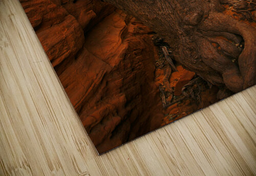 Red Rock Canyon Tree Adel B Korkor puzzle