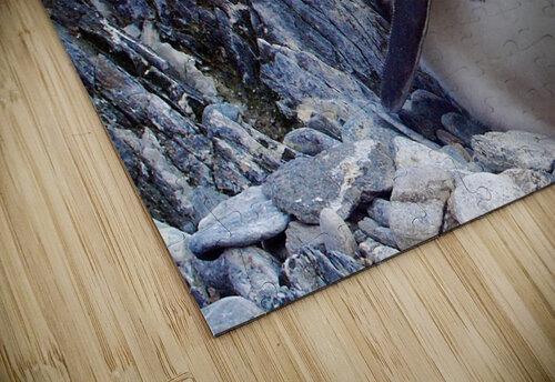 Chinstrap Penguin Adel B Korkor puzzle