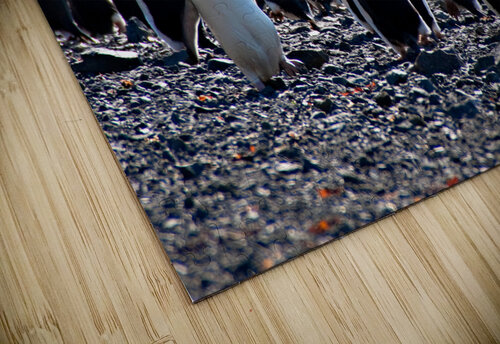 Walk Your Own Path Adel B Korkor puzzle