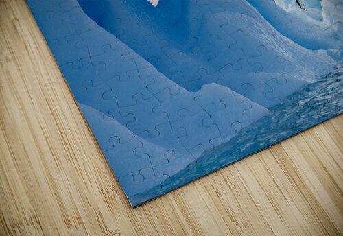 Lone Penguin Adel B Korkor puzzle