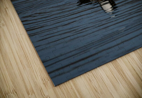 Hooded Merganser Adel B Korkor puzzle