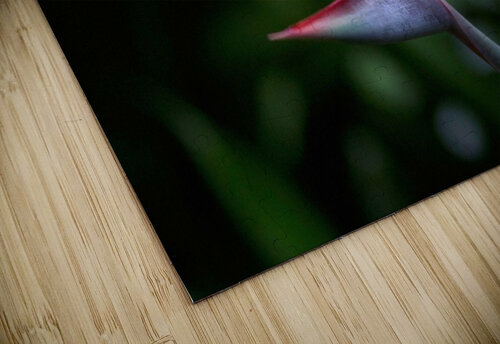 Bird of Paradise Flower Adel B Korkor puzzle