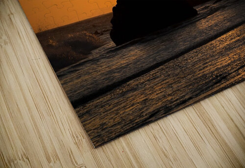 Triumph at Malibu Beach California Adel B Korkor puzzle