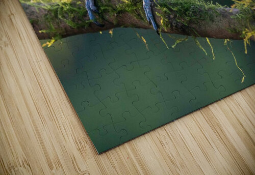 Keel-Billed Toucan Adel B Korkor puzzle