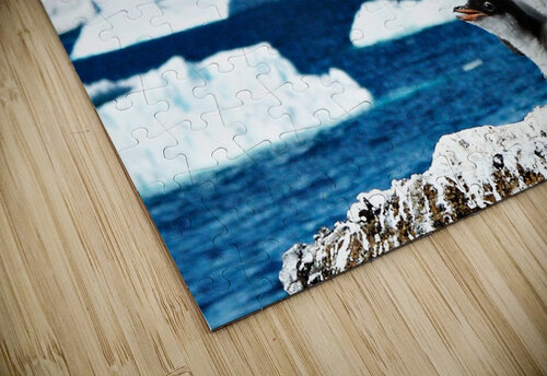 Gentoo Mother and Baby Penguins Adel B Korkor puzzle