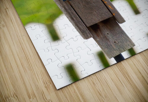 Baby Bluebirds Adel B Korkor puzzle