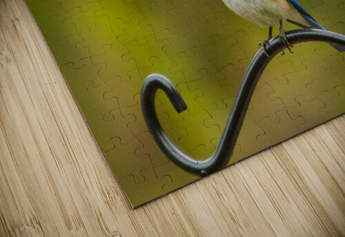 Perched Bluebird Adel B Korkor puzzle