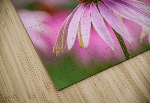 Red-Spotted Purple Admiral Butterfly Adel B Korkor puzzle