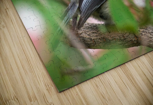 Chickadee Adel B Korkor puzzle