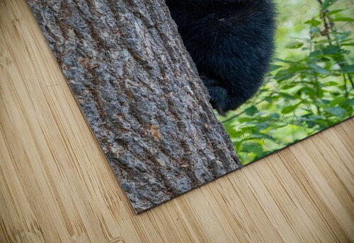 Black Bear Cub Adel B Korkor puzzle